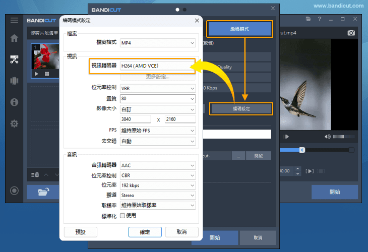 H264（AMD VCE/VCN）