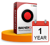 Bandicam 1PC / 1 年