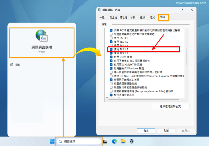 網際網路選項勾選「TLS」選項