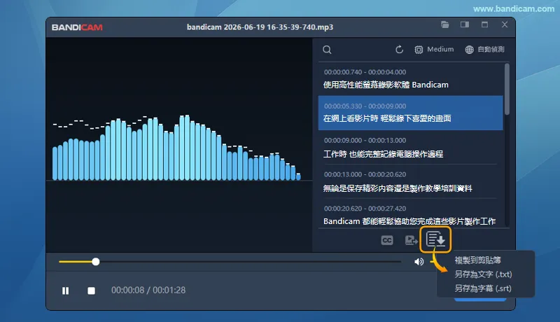 Bandicam 音訊轉錄結果