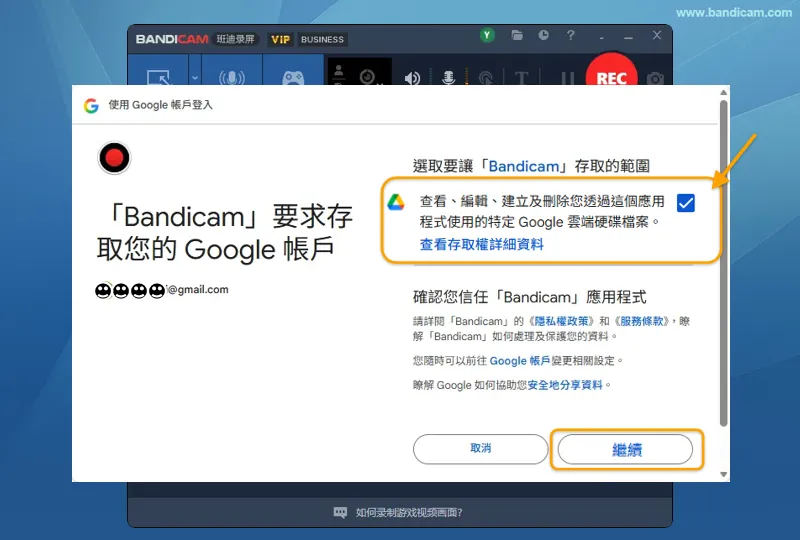 勾選 Bandicam 所需的 Google 雲端硬碟檔案存取權限並點擊繼續