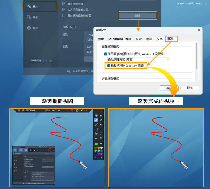 排除 Bandicam 操作畫面