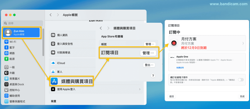 manage Bandicam Pro subscription