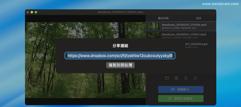 Dropbox 共享連結