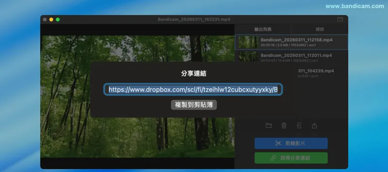 Dropbox 共享連結