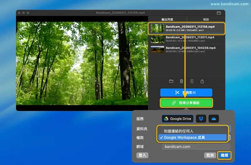選擇 Google 雲端硬碟權限