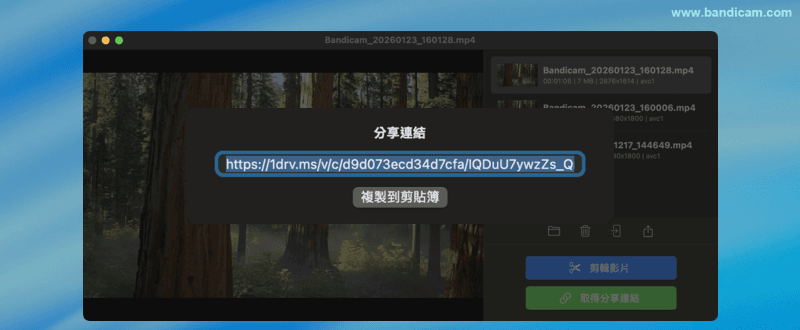 OneDrive 共享連結