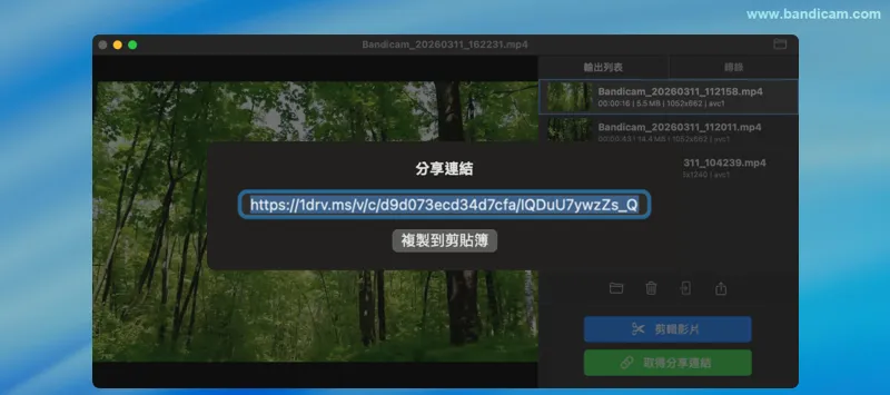 OneDrive 共享連結