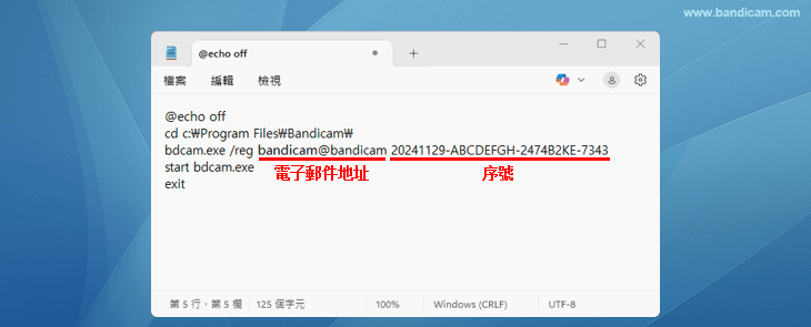 Bandicam 正版註冊，處理檔案