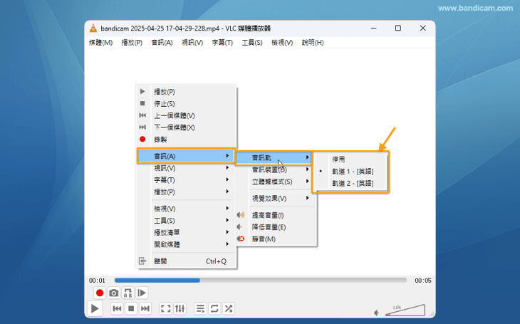 兩條音軌的影片播放時可選擇其中一軌