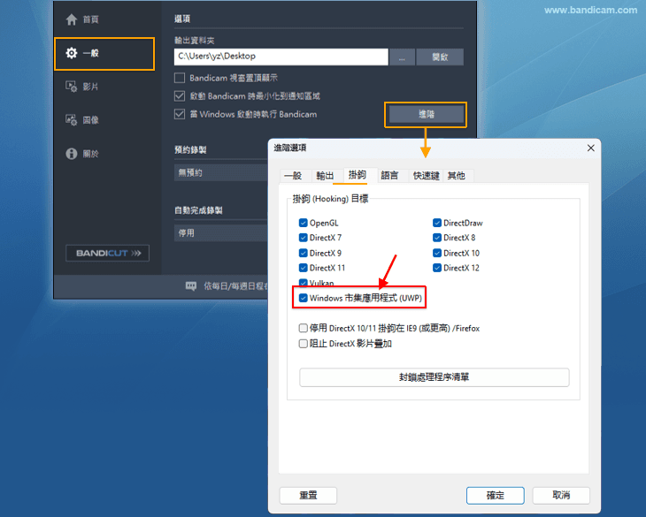 勾選 Windows 應用程式（UWP）- Bandicam